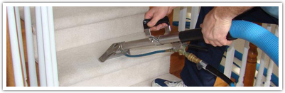 clean your entire home professionally