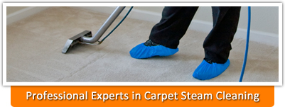 professional cleaning services