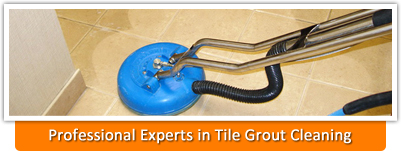 professional cleaning services