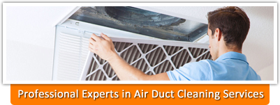 professional cleaning services