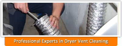 professional cleaning services