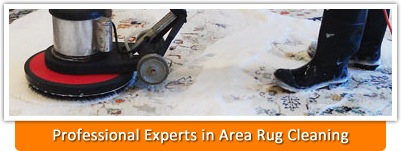professional cleaning services