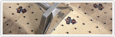 clean your entire home professionally